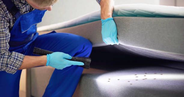 Best Rat Extermination Near Me  in College Park, GA