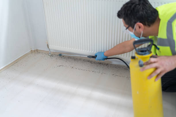 Best Residential Pest Control  in College Park, GA
